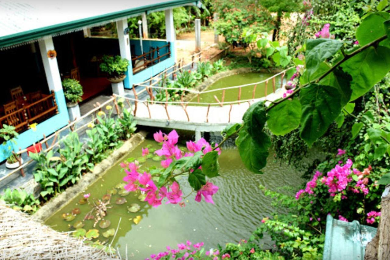 Hungry Lion Sigiriya Hotel ภายนอก รูปภาพ