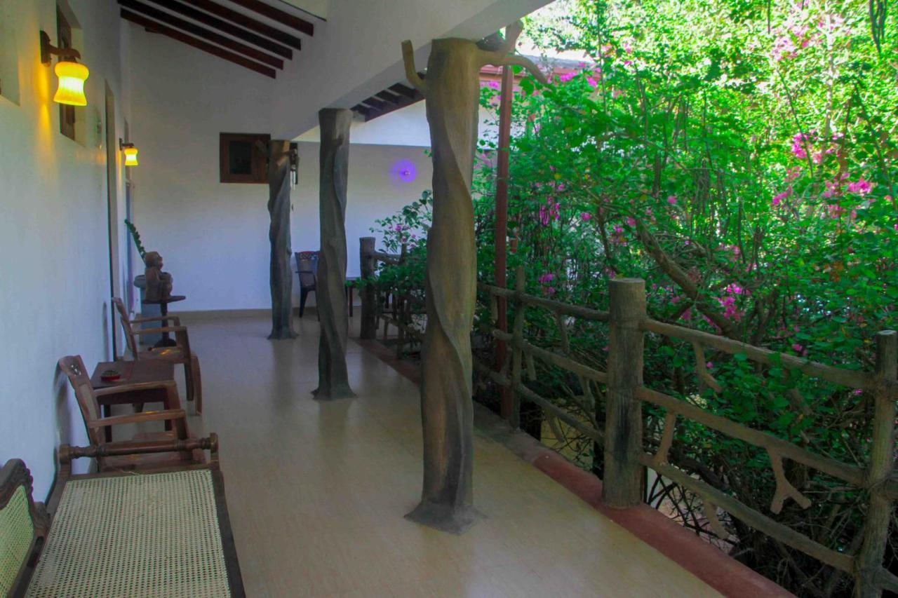 Hungry Lion Sigiriya Hotel ภายนอก รูปภาพ